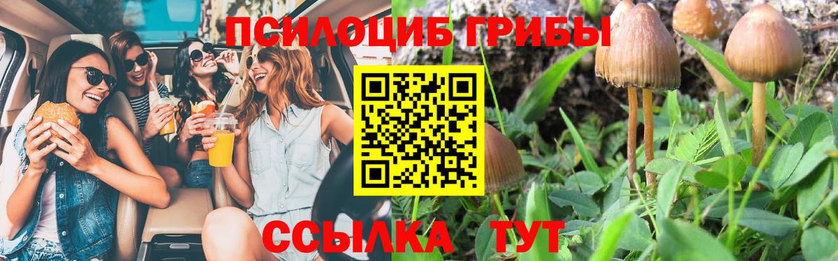 Псилоцибиновые грибы мицелий Кировск